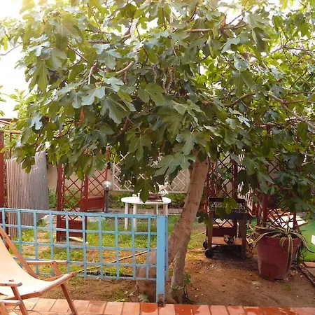 La Magnolia Apartament *